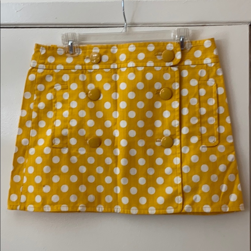 J. Crew Skirt